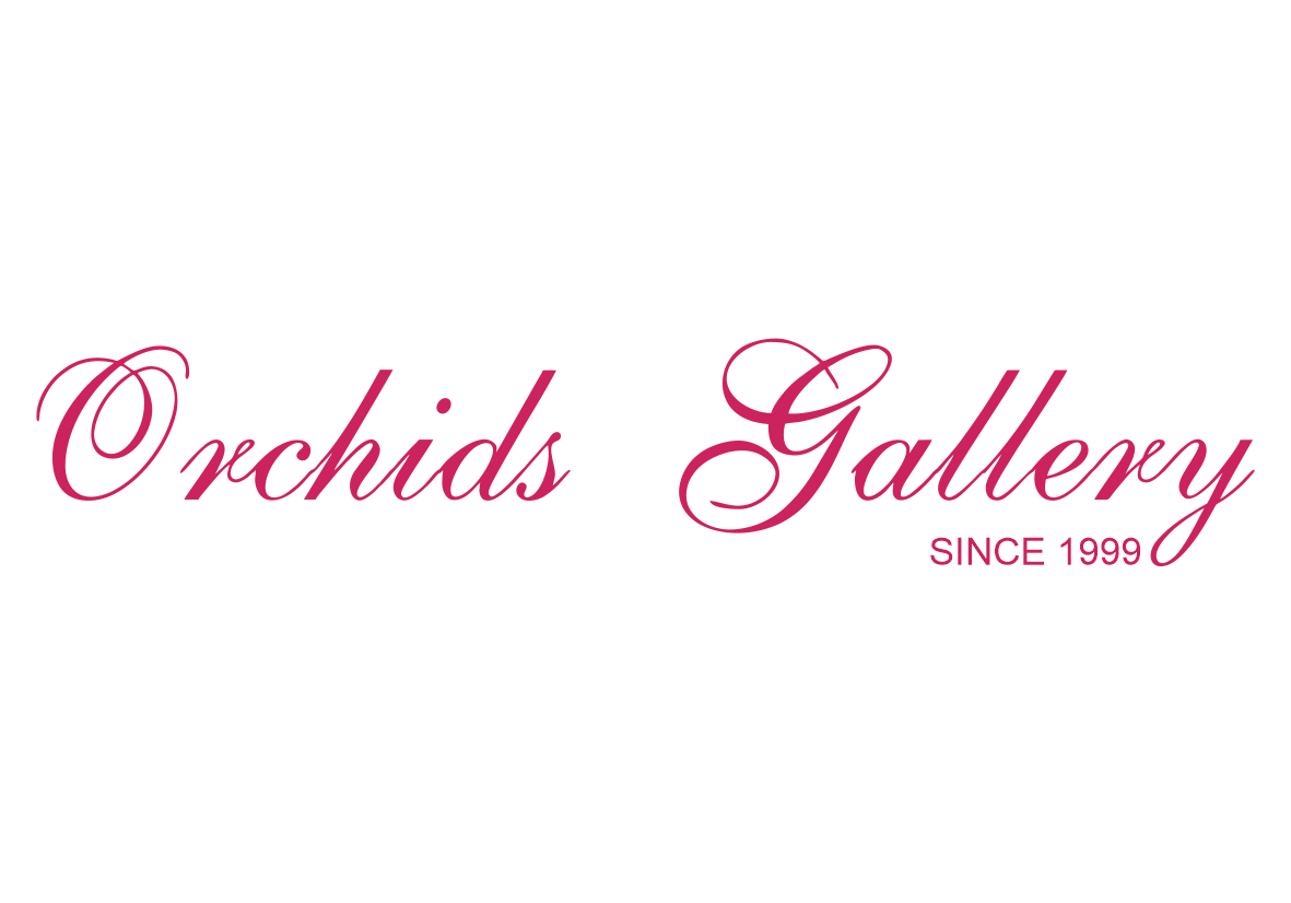 Orchids Gallery Logo